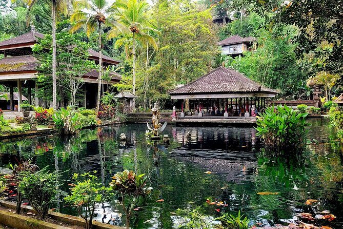Half Day Tour Ubud Rice Terrace with Activities and Waterfall - Stop 2: Ulu Petanu Waterfall and the Easy Walk to the Pool