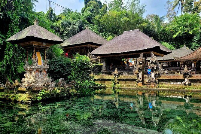 Half Day Tour Ubud Rice Terrace with Activities and Waterfall - Price and Value: Is It a Good Deal at $17.66?
