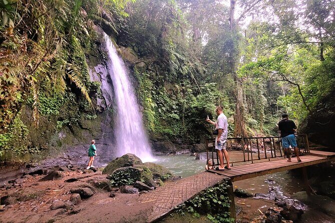 Half Day Tour Ubud Rice Terrace with Activities and Waterfall - The Pickup and English-Speaking Driver-Host Setup