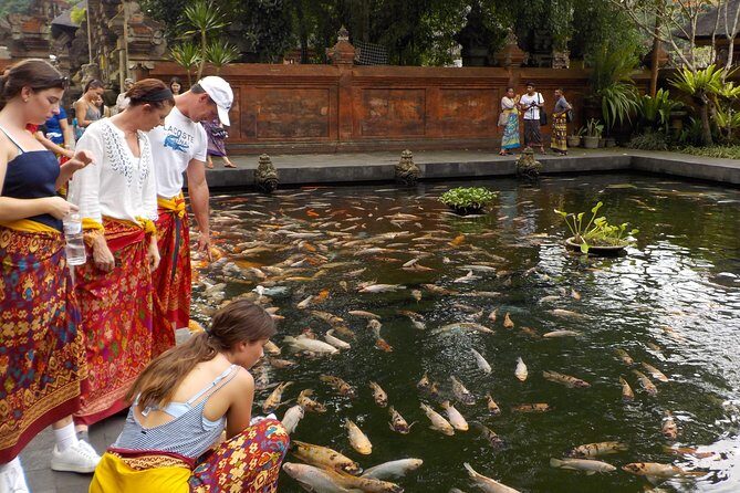 Half-Day Ubud Electric Cycling Tour to Tirta Empul Water Temple - Ubud by e-bike: the smart way to beat hills and heat
