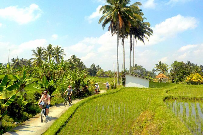 Half-Day Ubud Electric Cycling Tour to Tirta Empul Water Temple - The lunch break: Balinese food after the sacred stop
