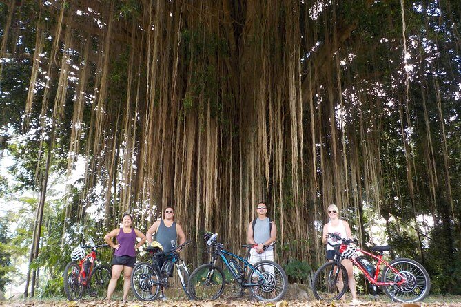 Half-Day Ubud Electric Cycling Tour to Tirta Empul Water Temple - Price and value: what $49 gets you in Bali