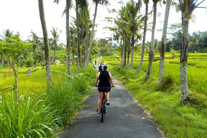 Half-Day Ubud Electric Cycling Tour to Tirta Empul Water Temple - The ride itself: rice paddies, villages, and planned stops