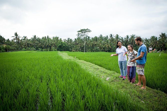 Half-Day Ubud Heritage Food Tour - Key things you’ll notice fast
