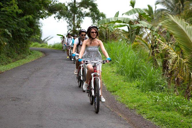Half-Day Ubud Rice Field and Village Cycling Tour - Why cycling Ubud countryside beats a long bus day