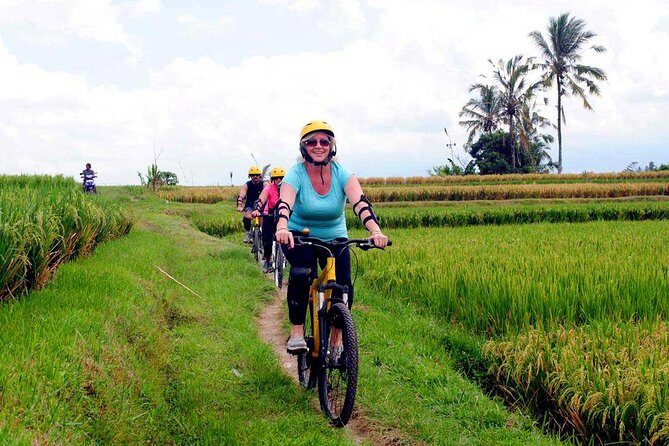 Half-Day Ubud Rice Field and Village Cycling Tour - The Ubud-area cycling route: what you’ll likely see