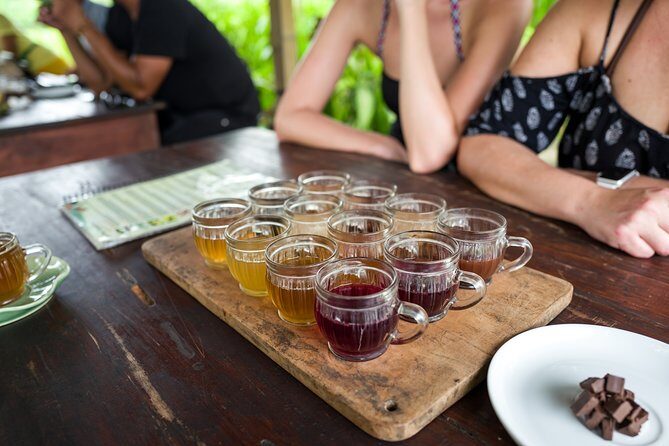 Half-Day Ubud Rice Field and Village Cycling Tour - Guide style matters: humor, safety, and real explanations