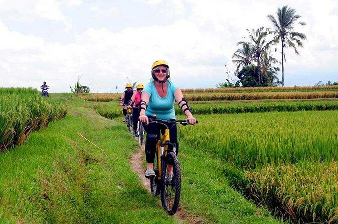 Half-Day Ubud Rice Field and Village Cycling Tour - Price and value: is about $41 a smart deal