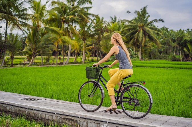 Half-Day Ubud Rice Field and Village Cycling Tour - Who this tour is best for (and who should rethink it)