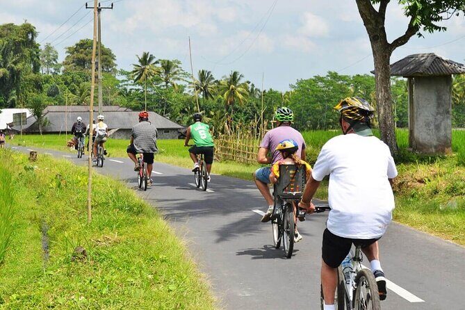 Half-Day Ubud Rice Field and Village Cycling Tour - Starting near Mount Batur: timing, effort, and route reality