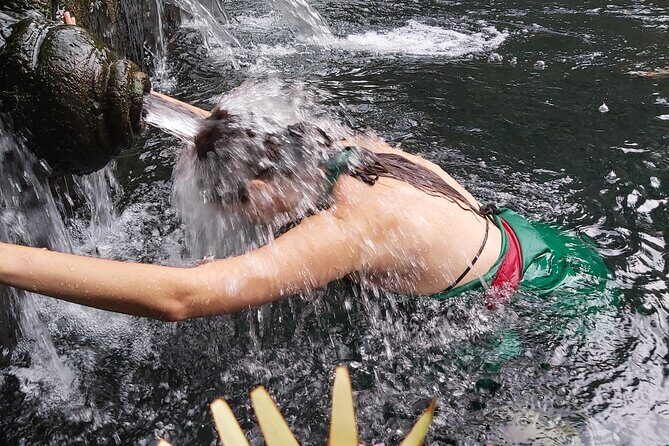 Half Day Ubud Tour - Private Guided Tour - Half-day Ubud: the right pace for a short visit