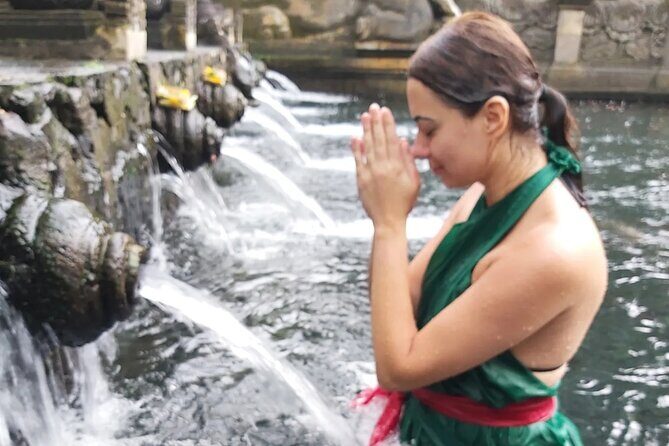 Half Day Ubud Tour - Private Guided Tour - Price and value: what $45 buys you here