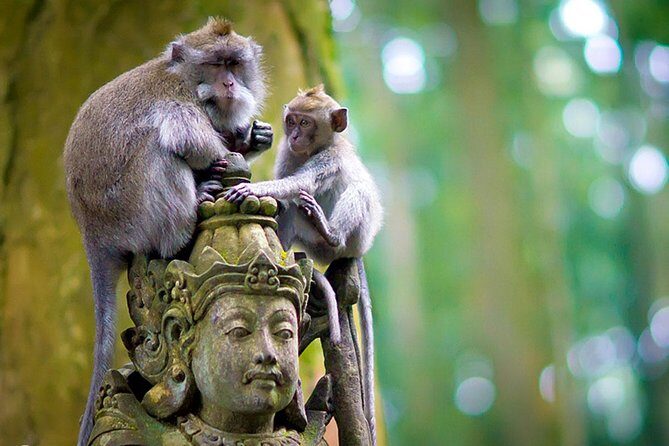 Half Day Ubud Tour: Ubud Unique Spots - Included value: what $38.98 really covers