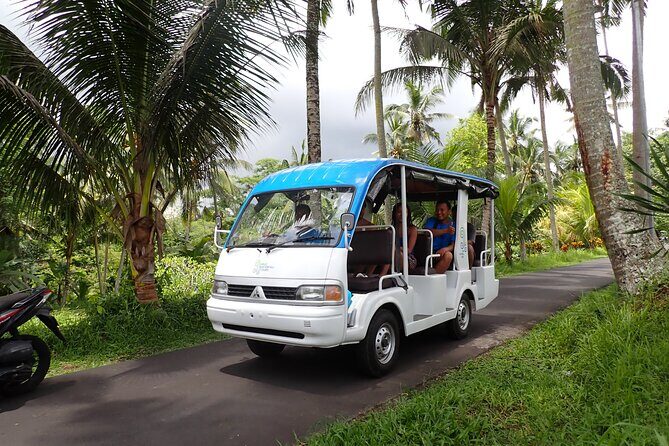 Half Day Ubud Waterfall Tour - Quick hits before you go