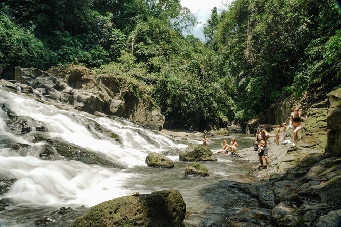 Half Day Ubud Waterfall Tour - The stair-step reality: fitness, shoes, and what to bring
