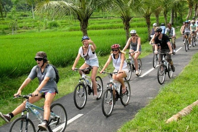 Halo Bike Cycling Tour Downhill - Downhill first: riding Ubud’s rice fields without the tourist scramble