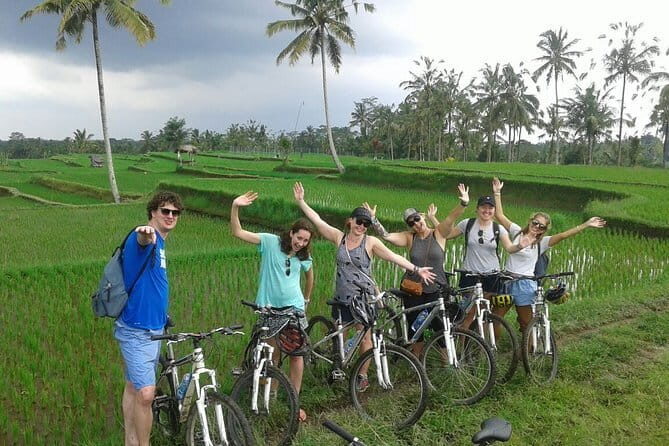 Halo Bike Cycling Tour Downhill - The ride itself: what 90% downhill really means
