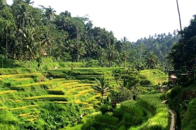 Heaven Gate, Tirtagangga and Tukad Cepung Waterfall - All Inclusive - Guide quality: why Teo’s style changes the day
