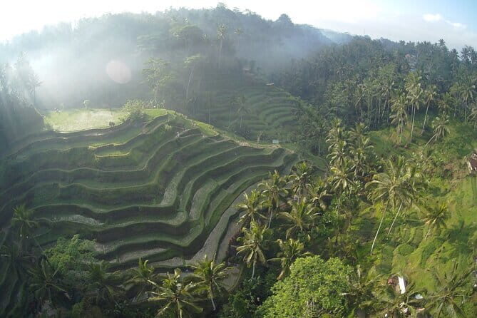 Hidden North Waterfall Bali All inclusive - Stop 2: Banyumala Twin Waterfalls and the Rolling-Jungle Drive