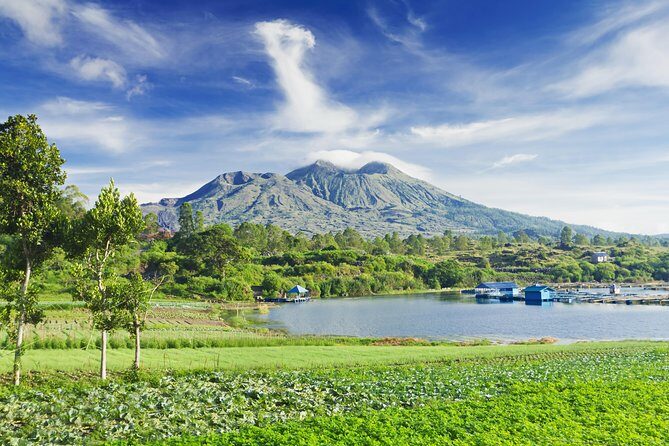 Highlights of Ubud & Mount Batur Volcano - Private Day Trip - Sacred Monkey Forest Sanctuary: close to the macaques, just keep it respectful