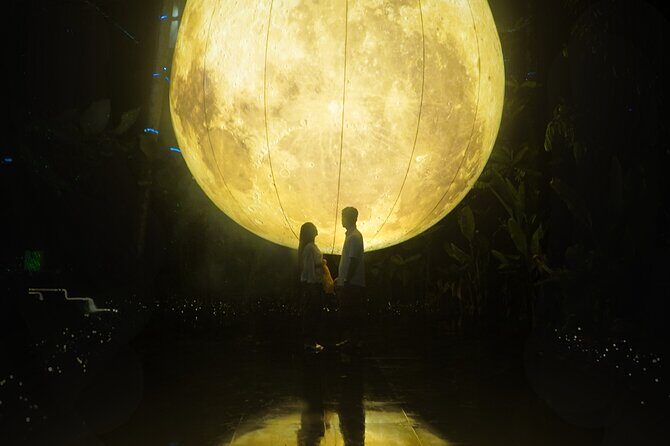 Hikaria: Bali's First Immersive Night Walk - Timing, weather, and the evening window