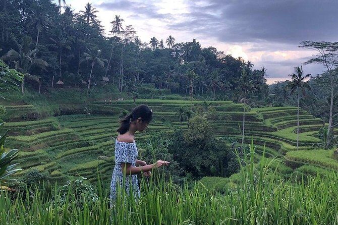 Hire Bali Driver for 10-hour (Bali as You Please) - Water Palaces, Cultural Parks, and Classic East Bali Icons