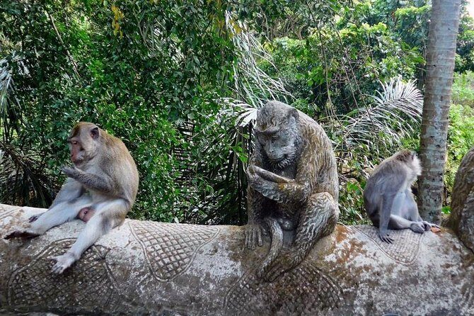 Hire Bali Driver for 10-hour (Bali as You Please) - City Time in Ubud and Denpasar: Markets, Monkey Forest, and Renon