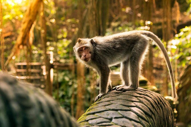 Hire Private Bali Driver - Value check: what $40 buys you (and what it doesn’t)