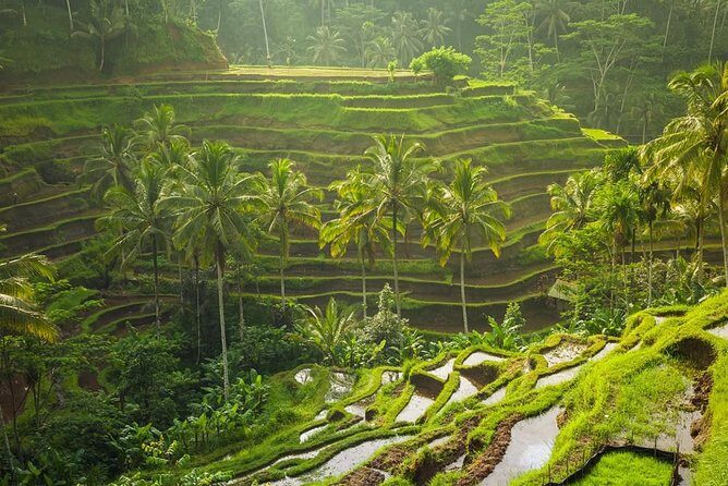 Hire Private Bali Driver - Your day, your route: building an 8- or 10-hour itinerary