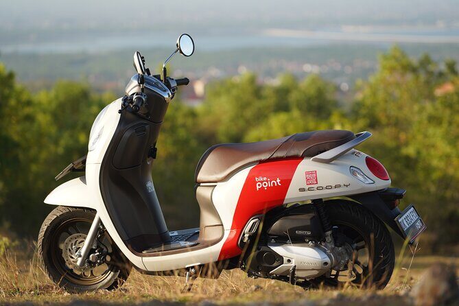 Honda Scoopy Rental in Bali - Key highlights to know before you book
