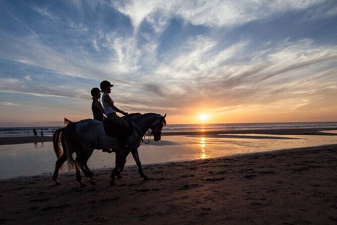 Horse Riding on the Black Sand Beach and Free Hotel Transfers - Key highlights at a glance