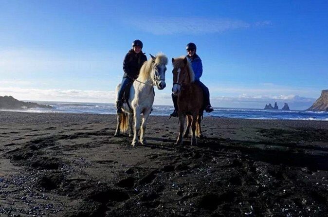 Horse Riding on the Black Sand Beach and Free Hotel Transfers - Price and Value: Is $74 Worth It?