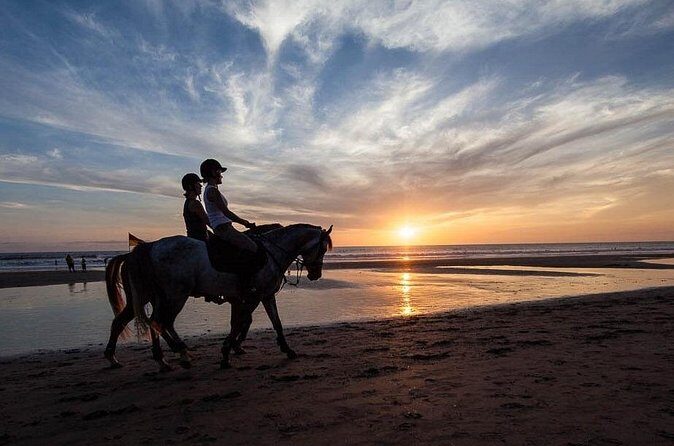 Horse Riding on the Black Sand Beach and Free Hotel Transfers - Who This Works Best For (and Who Should Pass)