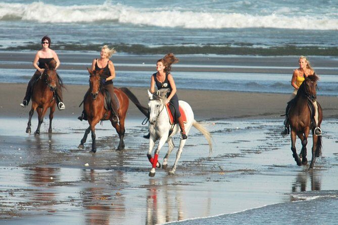 Horse Riding on the Black Sand Beach and Free Hotel Transfers - Why Saba Beach’s Black Sand Riding Feels Different