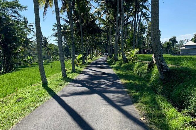 Individual Bali Day Trip with Private Driver and Free WiFi - South Bali: Nusa Dua beaches to Uluwatu cliffs