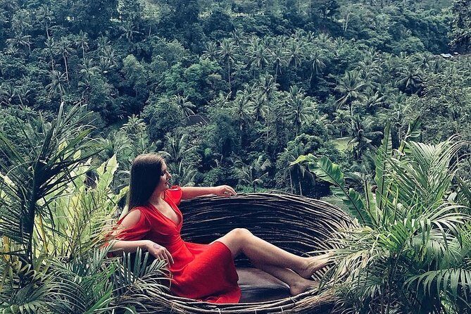 Individual Bali Day Trip with Private Driver and Free WiFi - Central Bali and Ubud: monkeys, rice terraces, and temple rituals