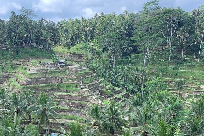Individual Bali Day Trip with Private Driver and Free WiFi - West Bali classics: Tanah Lot and coastal views