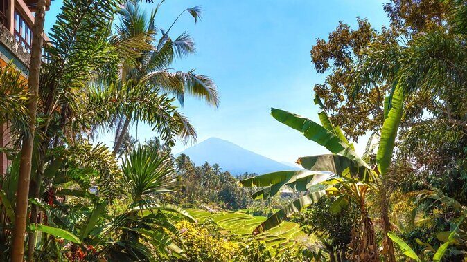 Jatiluwih Batukaru Mountain Nature's Best Tour - Quick hits before you leave