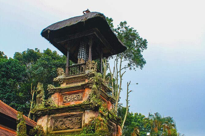 Jatiluwih Batukaru Mountain Nature's Best Tour - Price and logistics: what you’re paying for