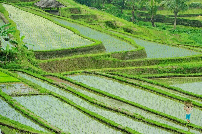 Jatiluwih Batukaru Mountain Nature's Best Tour - Stop 1: Mount Batukaru foothills and farming life