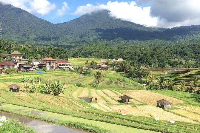 Jatiluwih Batukaru Mountain Nature's Best Tour - The food stop and what to budget for