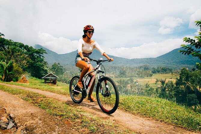 Jatiluwih in detail (1 h. e-bike tour in the rice terraces) - Key points worth knowing before you go