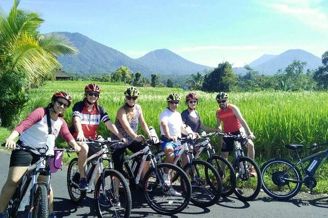 Jatiluwih in detail (1 h. e-bike tour in the rice terraces) - Your 1-hour ride through the valley of four extinct volcanoes