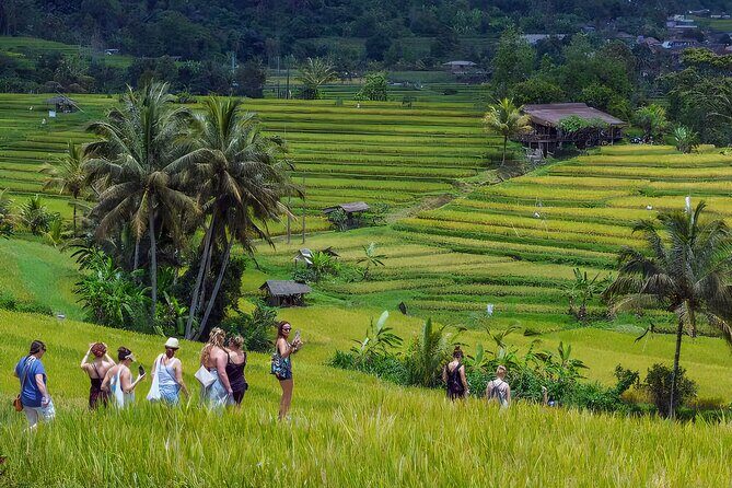 Jatiluwih Spiritual Journey of Melukat with Rice Terrace View - Melukat water blessing at Kedatuan Raksa Sidhi: what this day is really about