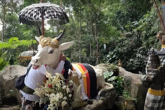Jatiluwih Spiritual Journey of Melukat with Rice Terrace View - Sangeh Monkey Forest: a timed nature break with included entry