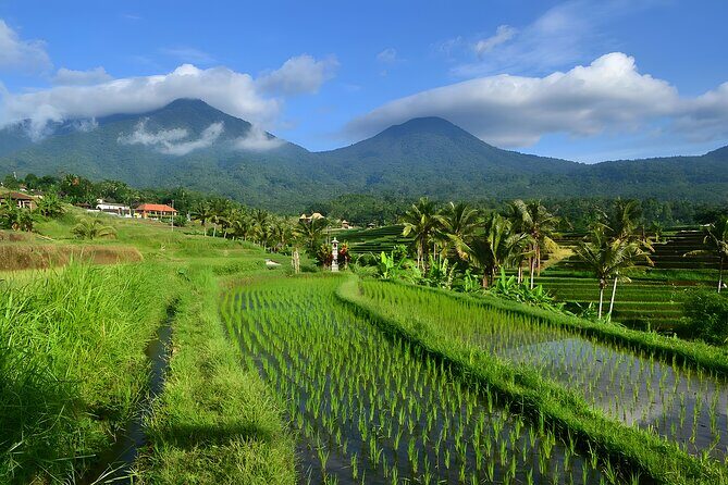 Jatiluwih VW Safari Bali Tour - Volkswagen Classic Car Trip - The 8–10 hour rhythm: how the day usually flows