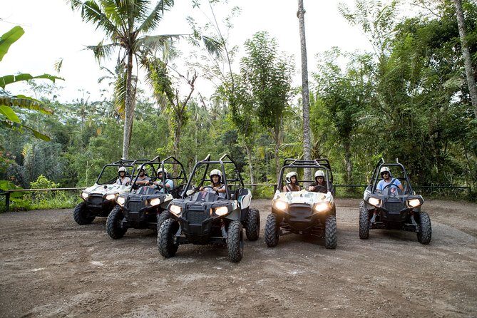 Jungle Buggy Adventure and Ubud Tour - Jungle buggy ATV plus Ubud icons: why this day works