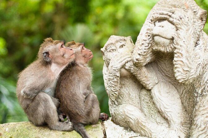 Jungle Swing - Volcano - Water Temple - Monkey Forest and Waterfall Tour - Key highlights worth planning for