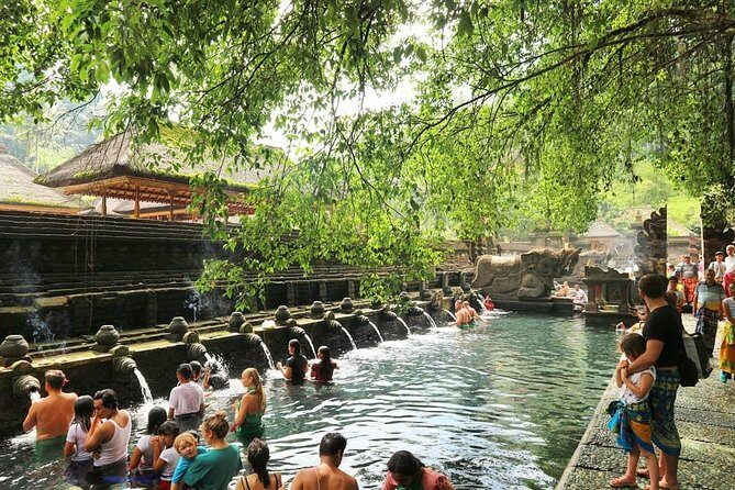 Jungle Swing - Volcano - Water Temple - Monkey Forest and Waterfall Tour - Logistics that actually matter: pickup zones, private vehicle, and pacing