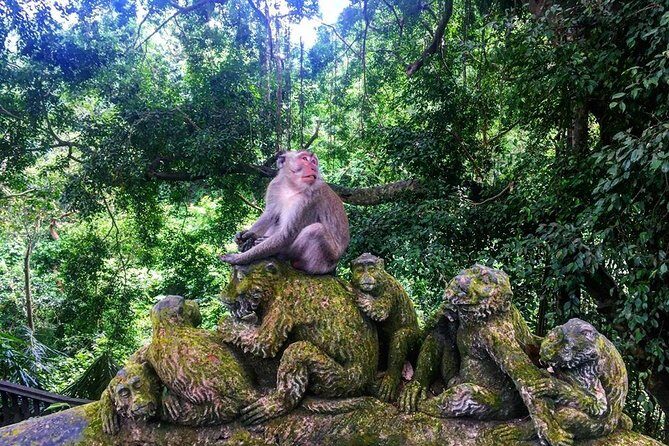 Jungle Swing - Volcano - Water Temple - Monkey Forest and Waterfall Tour - Tirta Empul: sacred springs and the reality of purification baths